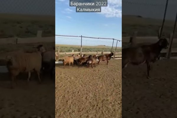 Кракен сайт войти