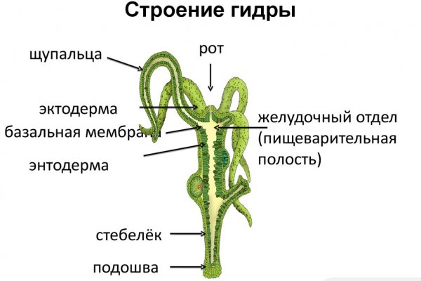 Кракен даркнет ссылка