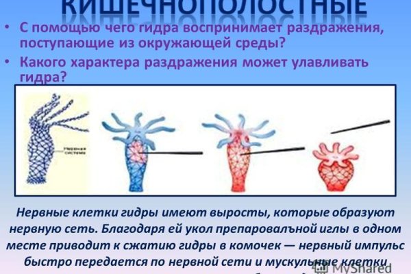 Кракен 17 вход