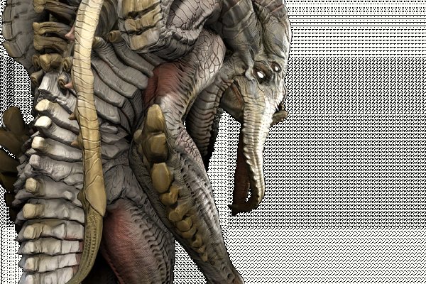 Kraken 6 at