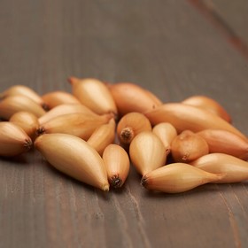 Сайт наркотиков купить